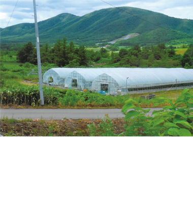 余市郡赤井川村字赤井川239-1他｜札幌の戸建・マンションの不動産情報 