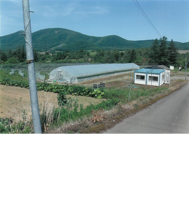 余市郡赤井川村字赤井川239-1他