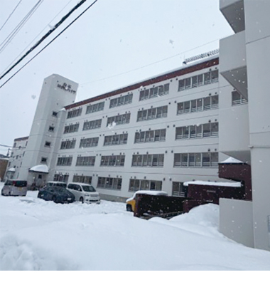 札幌市白石区北郷5条3丁目11-8